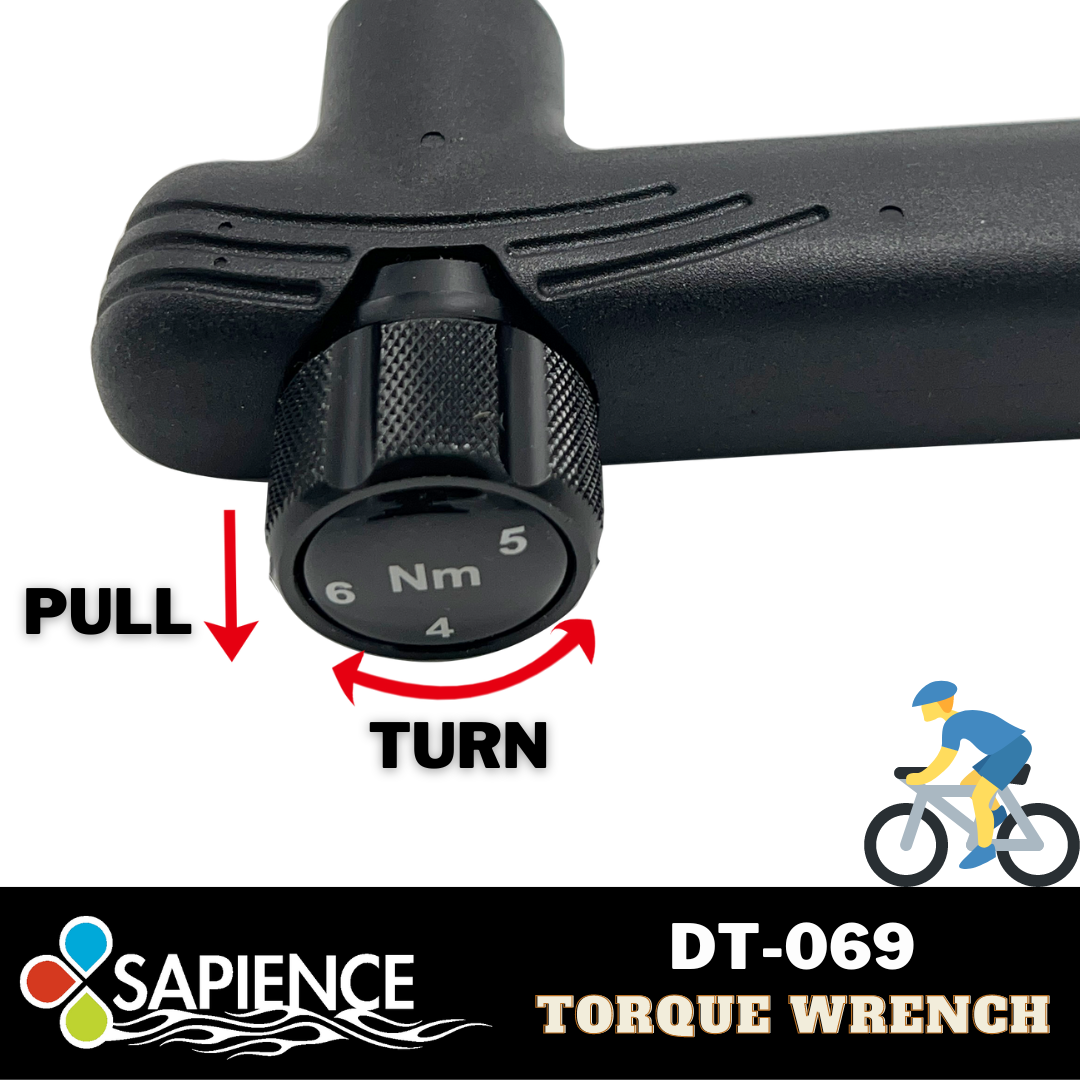 Sapience adjustable torque wrench set DT-069